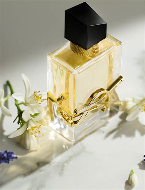 ysl beauty libre perfume sensual kavender|ysl libre price.